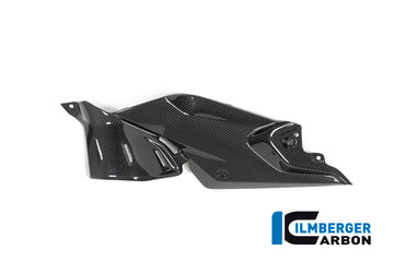 Ilmberger Carbon Fibre Left Side Panel For BMW R 1250 R 2019-22